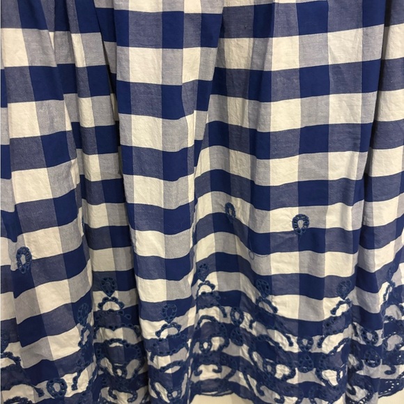 Zara Blue and White Gingham Midi Skirt - Picture 4 of 4